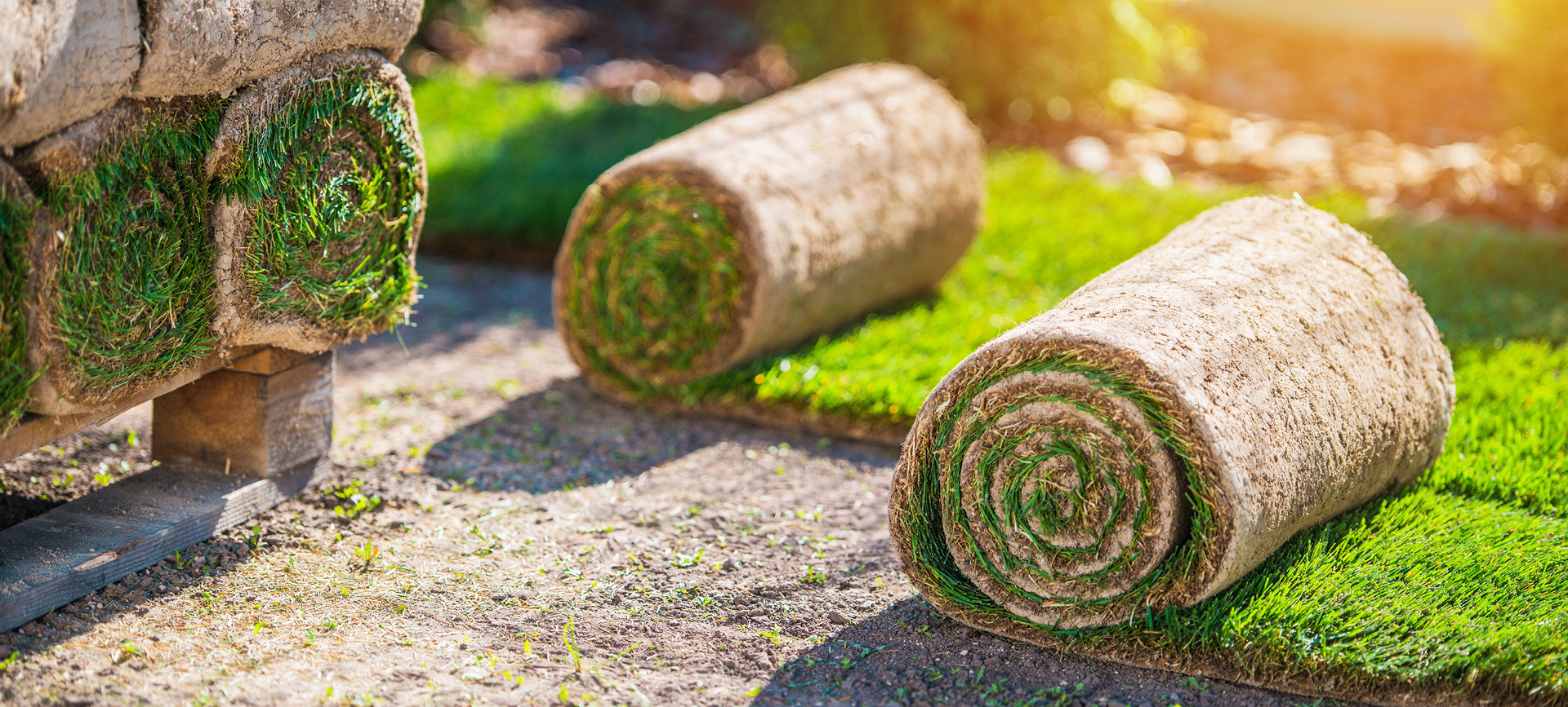 Rollrasen AGA Hof- Haus- und Gartenservice